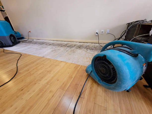 Professional Water Damage Repair technician working in Aquebogue, NY